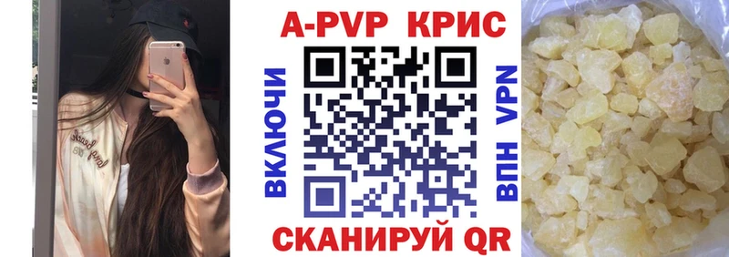 A PVP СК  Череповец 