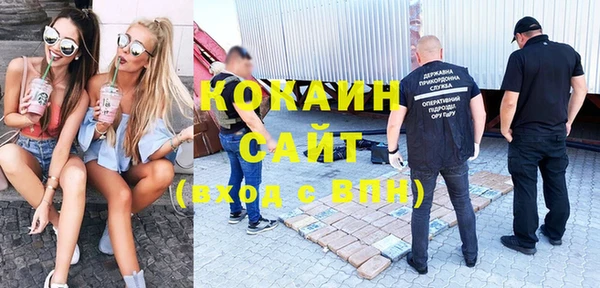 ГАЛЛЮЦИНОГЕННЫЕ ГРИБЫ Абаза