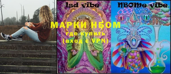 ГАЛЛЮЦИНОГЕННЫЕ ГРИБЫ Абаза