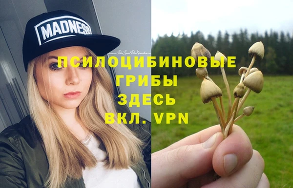 ГАЛЛЮЦИНОГЕННЫЕ ГРИБЫ Абаза