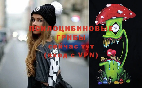 ECSTASY Новодвинск
