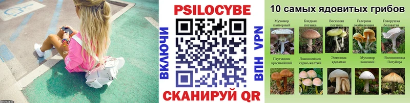 Галлюциногенные грибы ЛСД Череповец