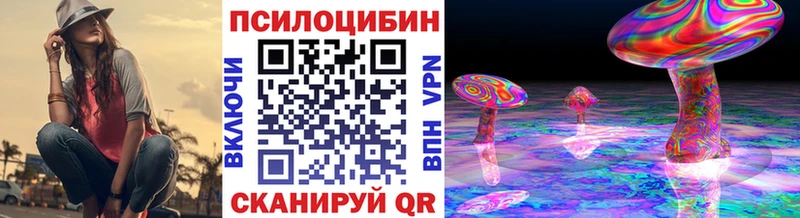 купить закладку  Череповец  Псилоцибиновые грибы Magic Shrooms 